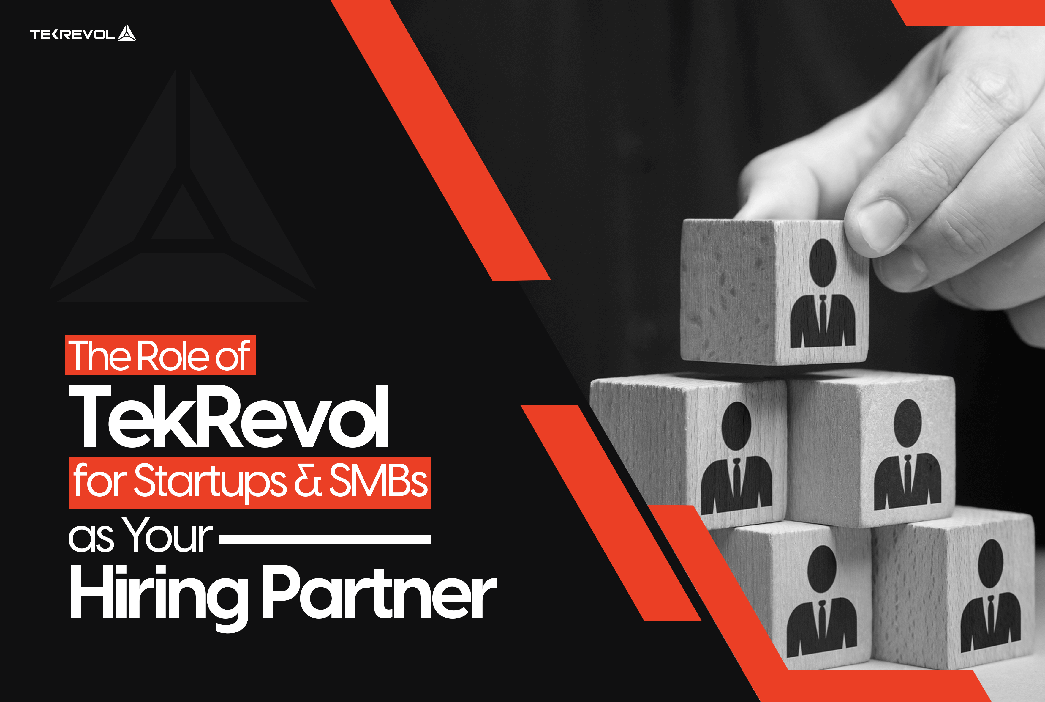  The-Role-of-TekRevol-for-Startups-SMBs-as-Your-Hiring-Partner